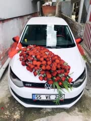 Gelin Arabası 26